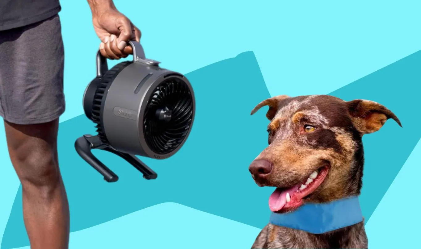 Best Cooling Products for Home and On-the-Go Relief